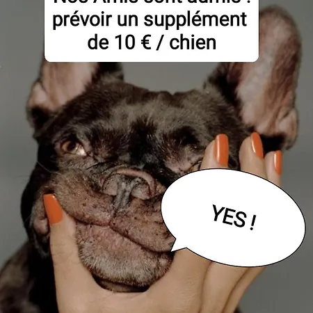 Detente A 200m De La Lägenhet *