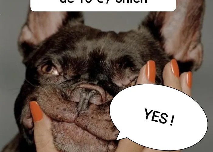 Detente A 200m De La Διαμέρισμα *